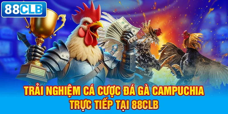 Đá gà Campuchia đem đến đấu trường kịch tính